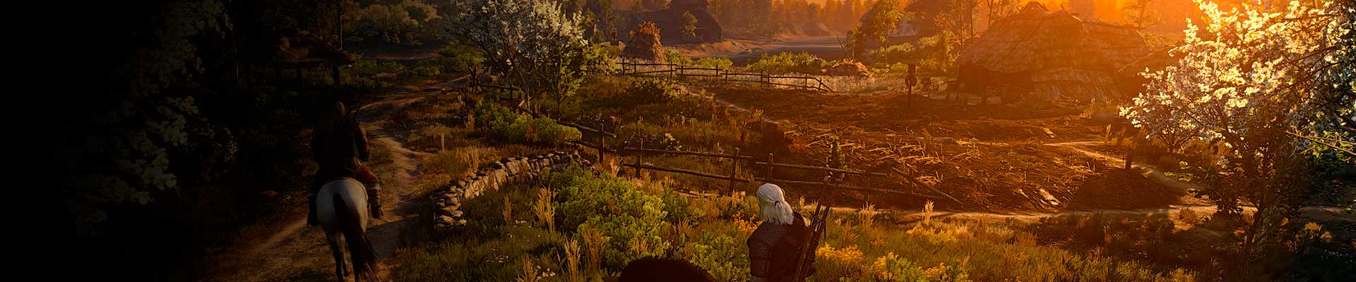 Улучшенные мечи и броня школы Грифона: где найти чертежи мечей и брони Белый сад в Ведьмак 3