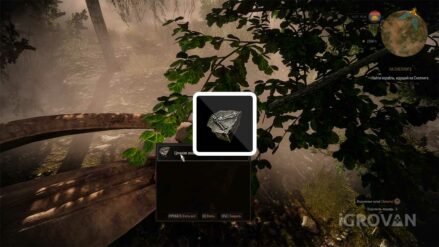 Ценная окаменелость в Ведьмаке 3: зачем нужна? Ценная окаменелость в Ведьмаке 3