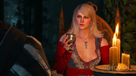 "Дружеская услуга" в Ведьмак 3: прохождение и последствия квеста Дружеская услуга с Кейрой Мец
