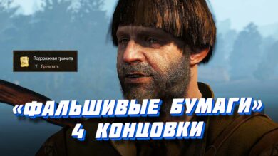 Фальшивые бумаги в Ведьмаке 3 - прохождение квеста