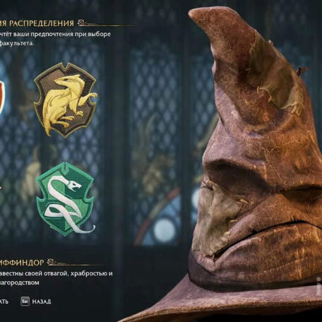 Выбираем факультет в игре Hogwards Legasy