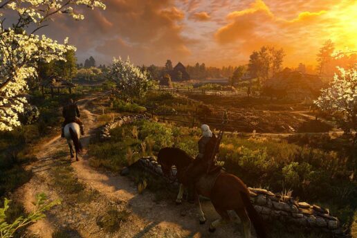 Все квесты в Белом саду (Ведьмак 3): прохождение сюжетных, дополнительных и скрытых квестов Ведьмак 3: все квесты в Белом саду