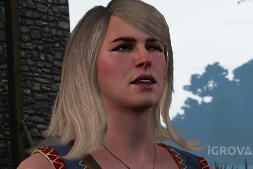 "На благо науки" в Ведьмак 3: прохождение, хорошая концовка Квест На благо науки в Ведьмак 3