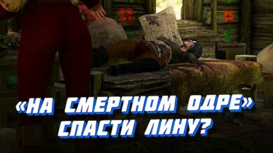 На смертном одре Ведьмак 3