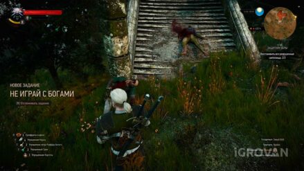 «Не играй с богами» (спрятанное сокровище) в Ведьмак 3: прохождение "Не играй с богами" в Ведьмак 3
