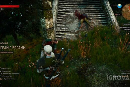 «Не играй с богами» (спрятанное сокровище) в Ведьмак 3: прохождение "Не играй с богами" в Ведьмак 3