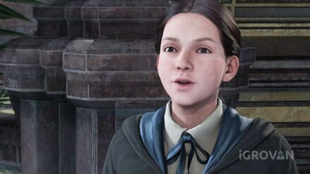 Плюй-камни Зенобии в Hogwarts Legacy: где найти все 6 камней? Плюй-камни Зенобии в игре Хогвартс Легаси