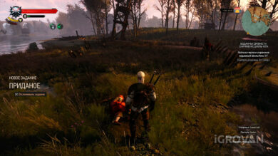 Квест "Приданое" в Велене в Ведьмак 3