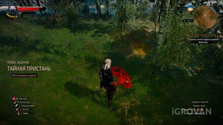 «Тайная пристань» (спрятанное сокровище) в Ведьмак 3: прохождение Тайная пристань в игре Ведьмак 3