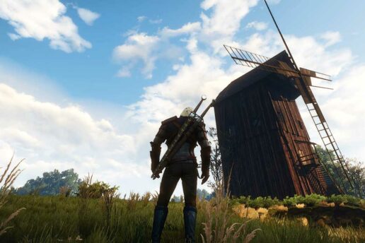 «Темерские ценности» в Ведьмаке 3: прохождение квеста в Белом саду Темерские ценности