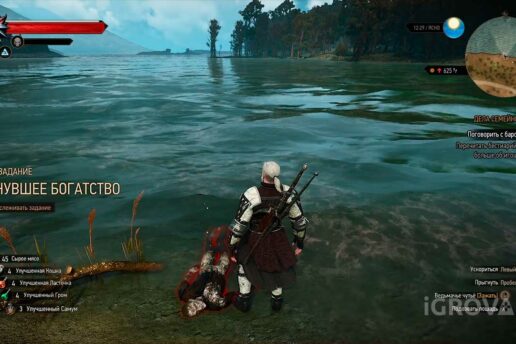 «Утонувшее богатство» (спрятанное сокровище) в Ведьмак 3: прохождение Квест "Утонувшее богатство" в Ведьмак 3