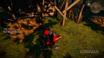 «Все ради золота» (спрятанное сокровище) в Ведьмак 3: прохождение Все ради золота в Ведьмак 3
