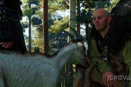 «На помощь княжне» в Ведьмак 3: прохождение. Как использовать колокольчик?
